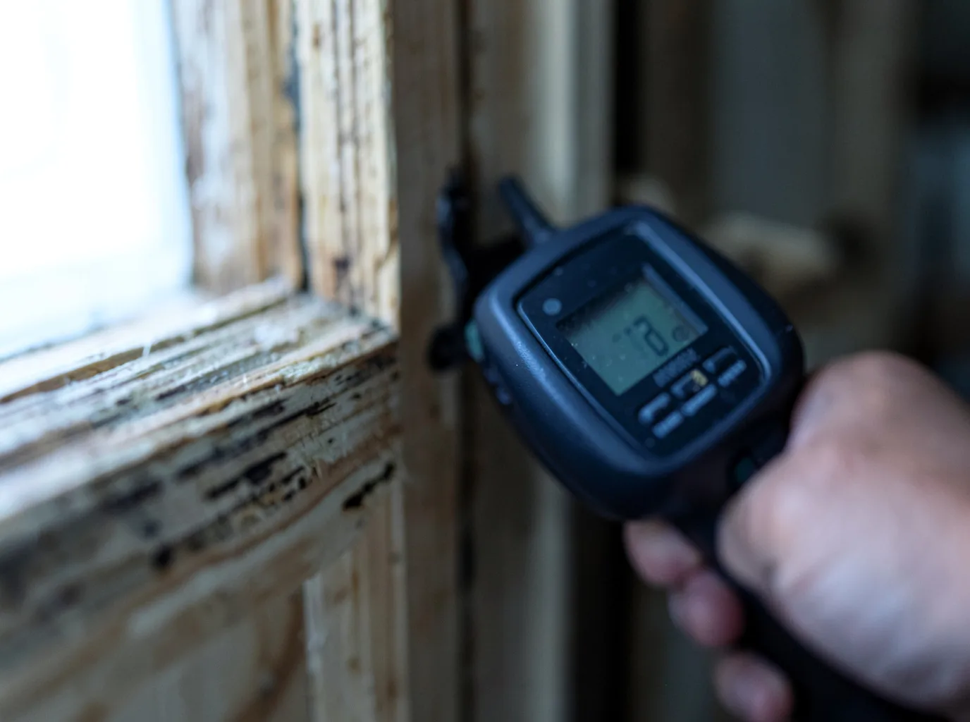 Commercial Water Damage Restoration in Williamstown, KY